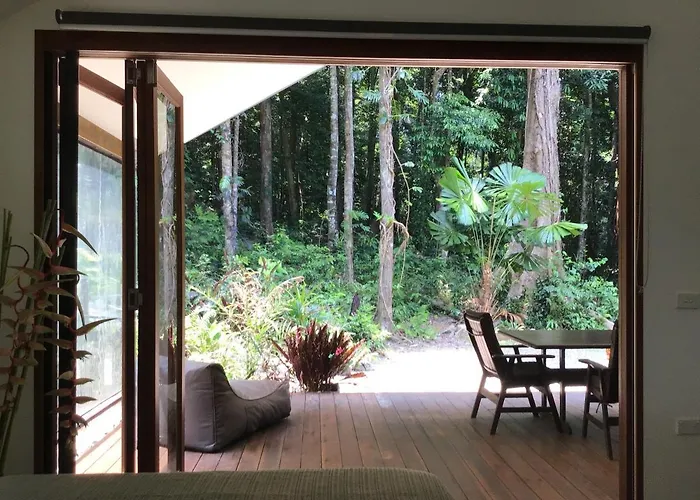 Forest Views